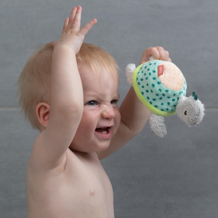 Burete pentru baita - Testoasa [4]