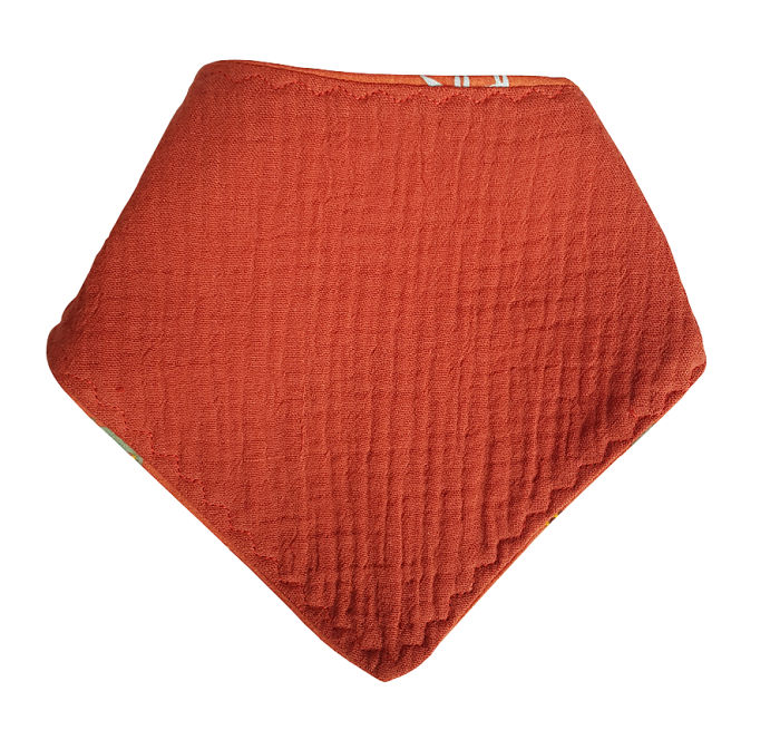 Cadou bebelus baiat - Frunza caramizie [4]