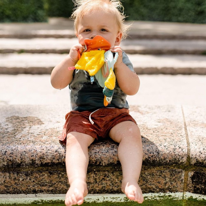 Carticica pentru baie - Caracatita [3]