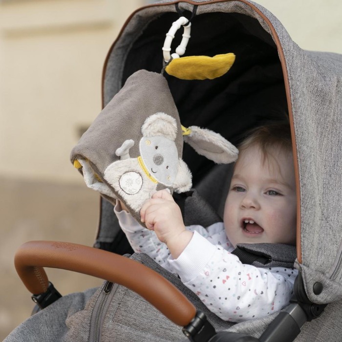 Carticica pentru bebelusi - Koala [5]