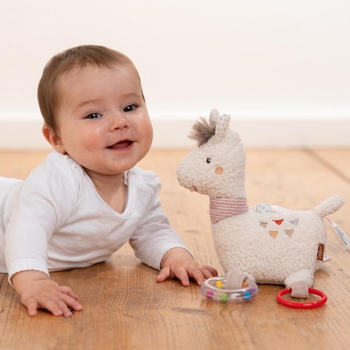 Centru de activitati - Lama [2]