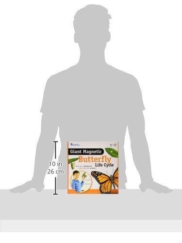 Ciclul vietii fluturelui - set magnetic [4]