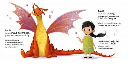 Cum sa-ti inveti dragonul sa spuna MULTUMESC [3]