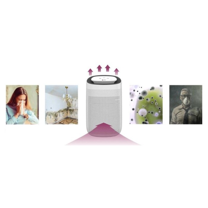 Dezumidificator si purificator de aer Airbi SPONGE BI2000 [5]