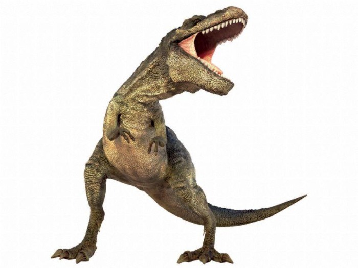 Diapozitive - Dinozauri [5]