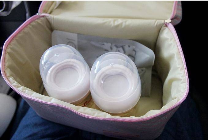 Geanta termoizolanta pentru transport [4]