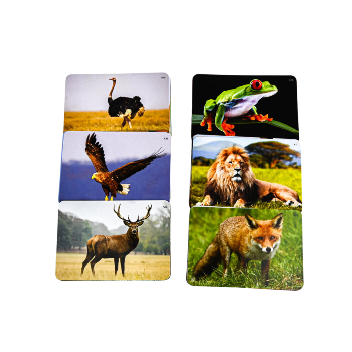 Joc lingvistic Learning Cube® - Arca lui Noe [3]