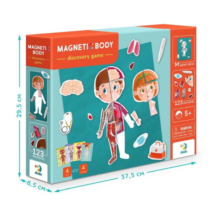 Joc magnetic - Descopera corpul uman [4]