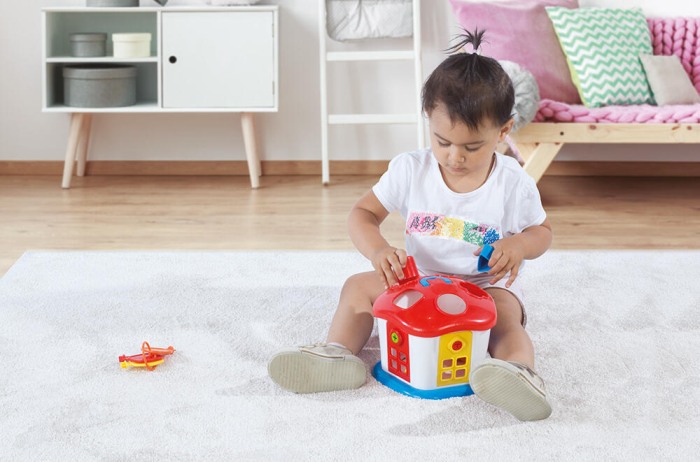 Joc sortare - Casuta vesela cu chei [4]