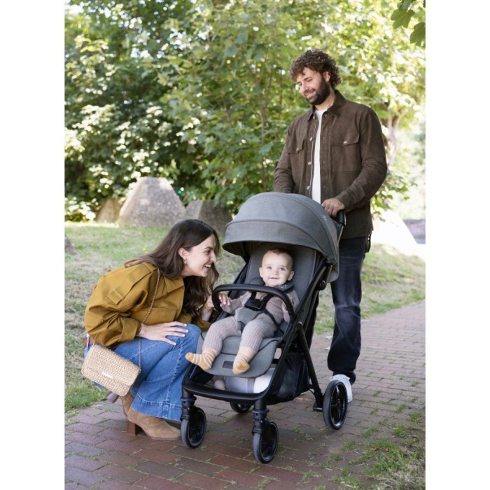 Joie - Carucior ultracompact Parcel LX, nastere - 22 kg, Signature Evergreen [2]