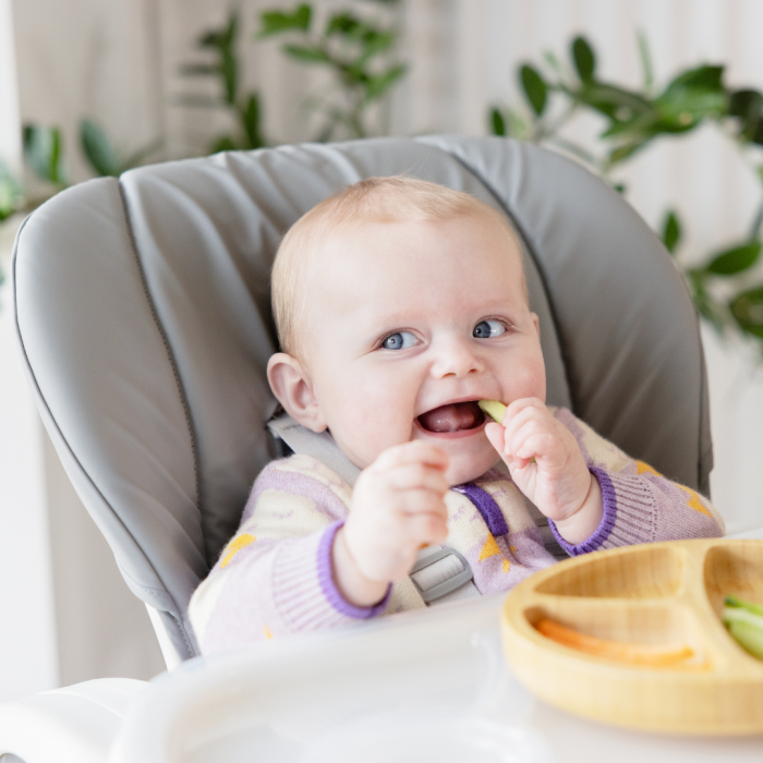 Joie - Scaun de masa Mimzy Recline Arctic, nastere - 15 kg [2]