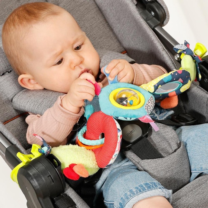 Jucarie carucior - Omiduta colorata [5]