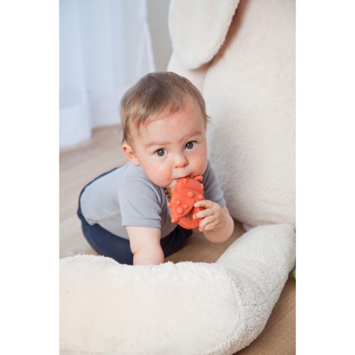 Jucarie organica pentru dentitie, din cauciuc natural, Gargarita, Grunspecht 681-00 [3]