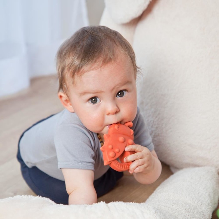 Jucarie organica pentru dentitie, din cauciuc natural, Gargarita, Grunspecht 681-00 [5]