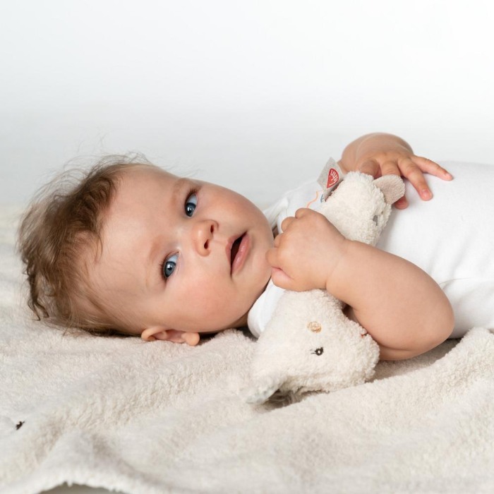 Jucarie pentru dexteritate - Lama [3]