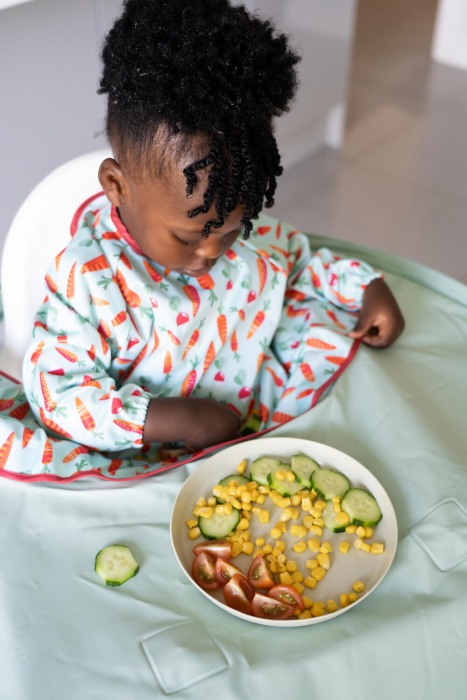 Kit hranire - Baveta si tava (Morcovei jucausi) [4]