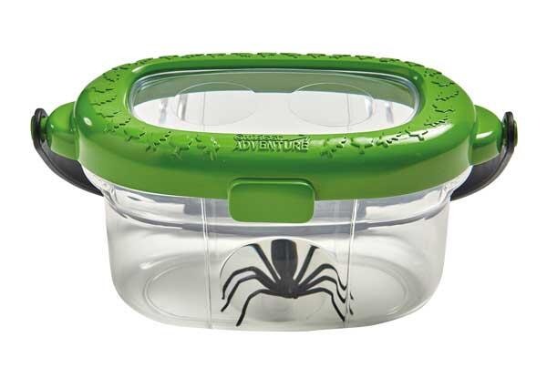 Observatorul pentru insecte [7]