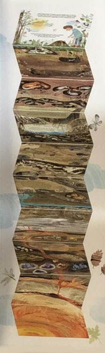 Pas cu pas spre adancimi [3]