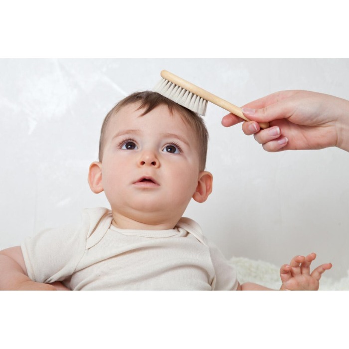 Perie pentru bebelusi, cu par natural de capra si maner din lemn, Grunspecht 520 [9]