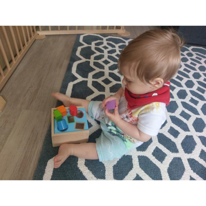 Prima mea cutie de sortat [5]