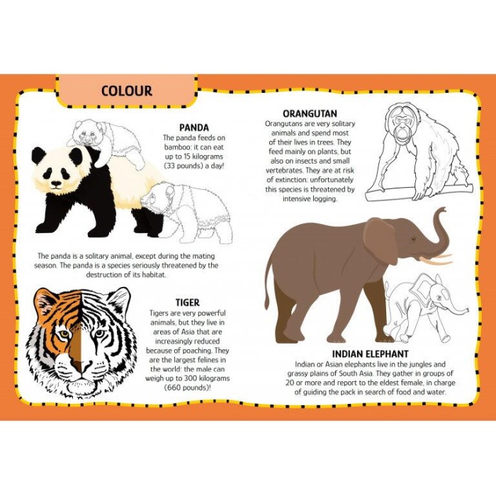 Primul set de arta & lucru manual - Animalute [5]