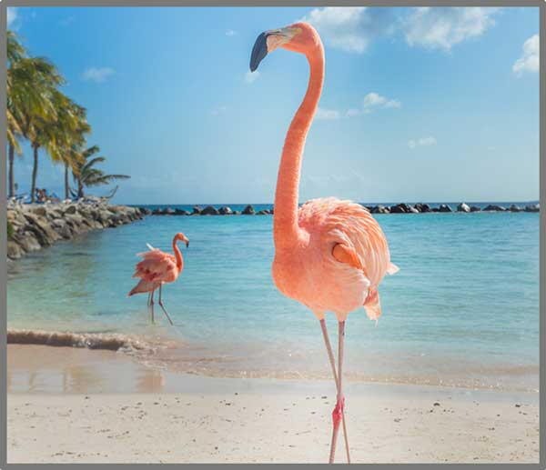 Proiector tip lanterna - Distractie cu animalute [8]