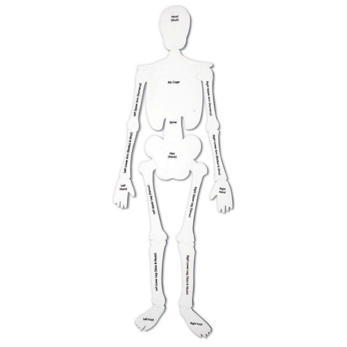 Puzzle de podea - Schelet [4]