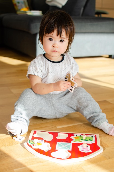 Puzzle din lemn - Casuta animalutelor [5]