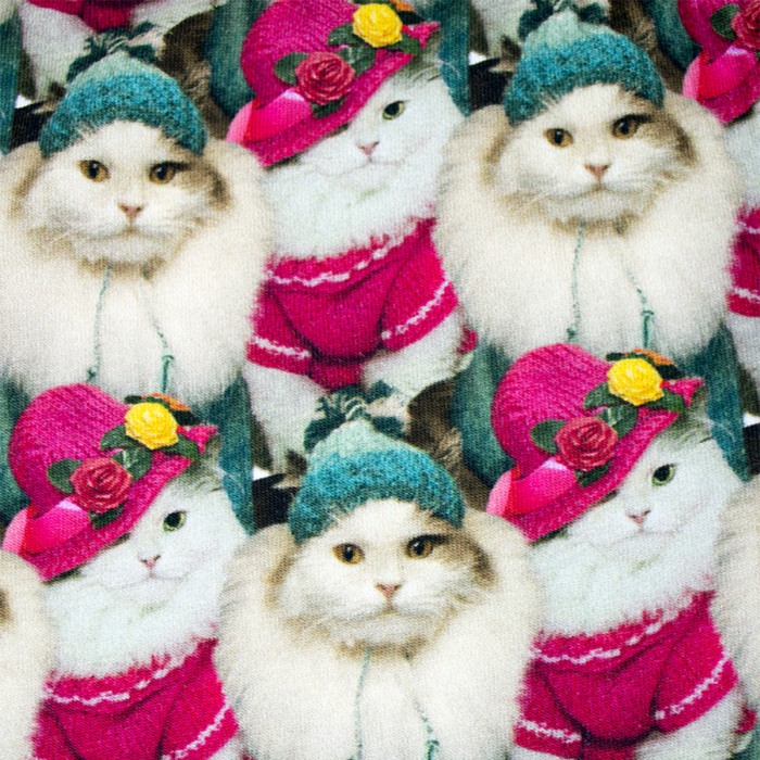 Rochita cu maneca lunga imprimeu pisicute  116 cm (5-6 ani) [4]