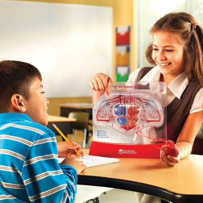 Sablon inima - Pomparea sangelui [2]