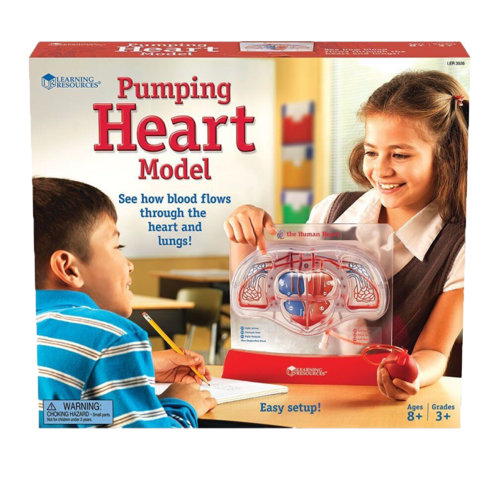 Sablon inima - Pomparea sangelui [3]