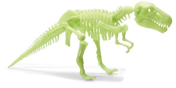 Schelet T-Rex reflectorizant [4]