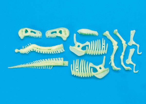 Schelet T-Rex reflectorizant [3]