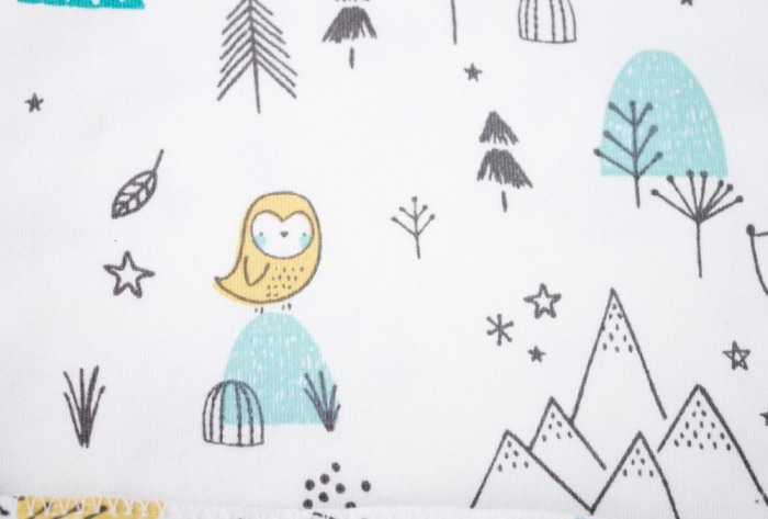 Set 2 bandane triunghi Alaska/Mint Dots [5]