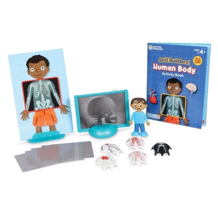 Set activitati educative - Corpul uman [3]