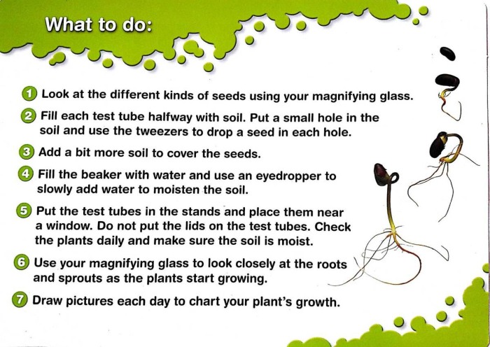 Set de stiinta primar [8]