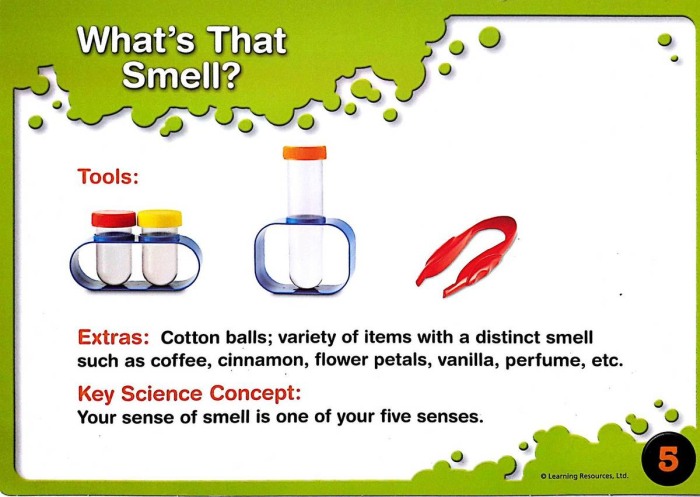 Set de stiinta primar [9]