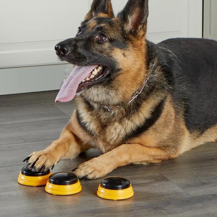 Set dresaj caini - Sonerii dresaj catel cuvinte esentiale [4]