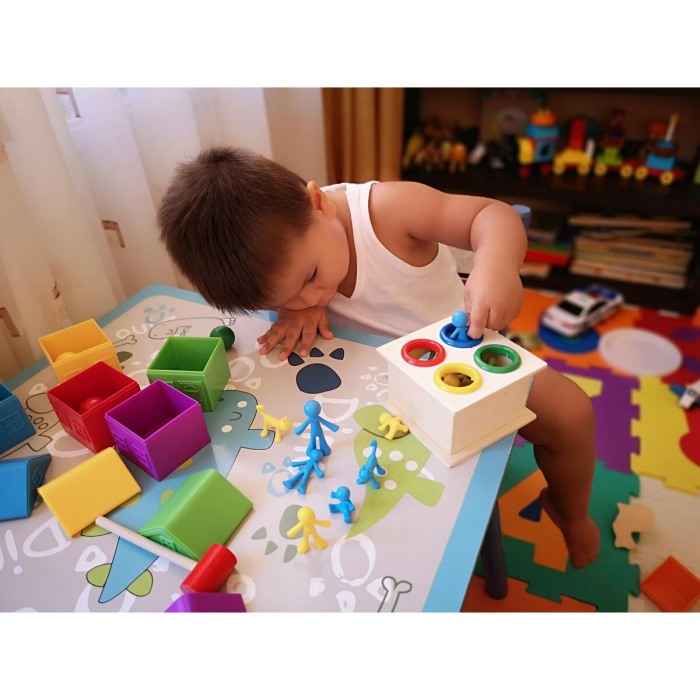 Set pentru sortat si numarat - Familia mea [4]