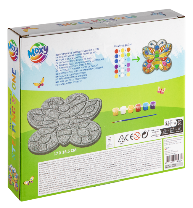 Set pictura pe piatra - Fluturas [2]