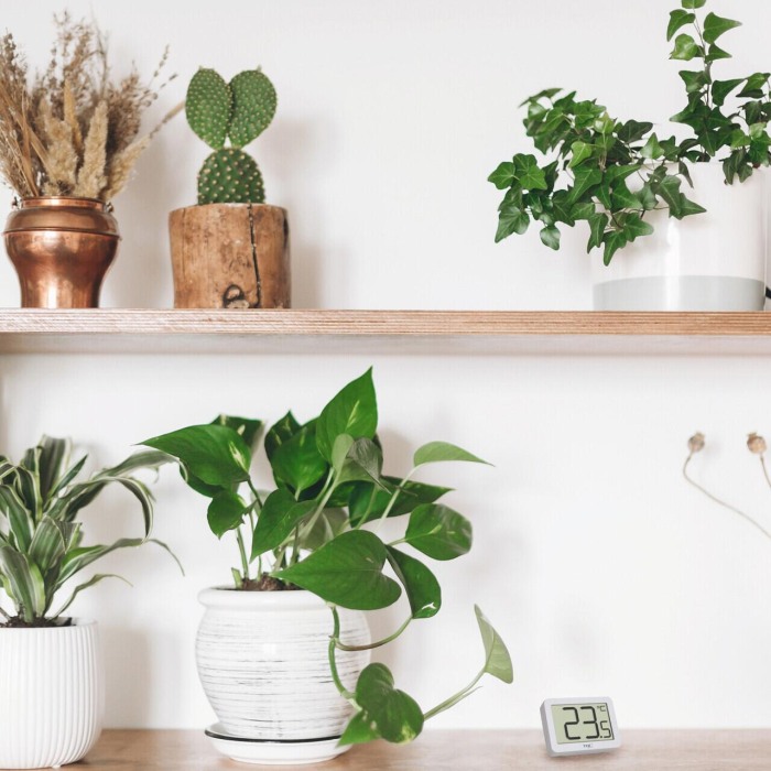 Termometru digital de camera, cu suport magnetic, alb, TFA 30.1065.02 [4]