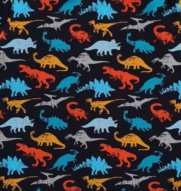 Tricou cu maneca scurta - Dino [2]