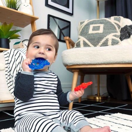 Baby Einstein - Jucarie de dentitie Ocean Explorers Cool Critter, 3 luni + [1]