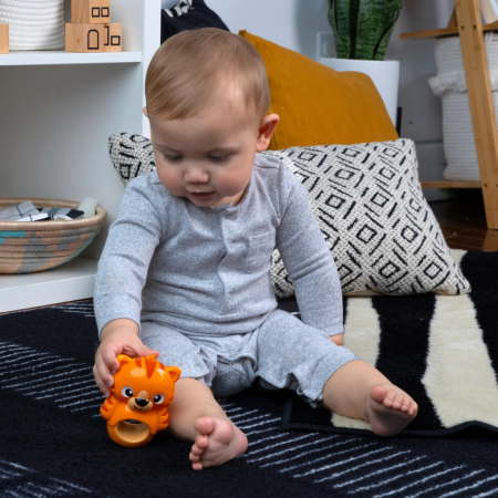 Baby Einstein - Jucarie de dentitie tigru, fara BPA [6]