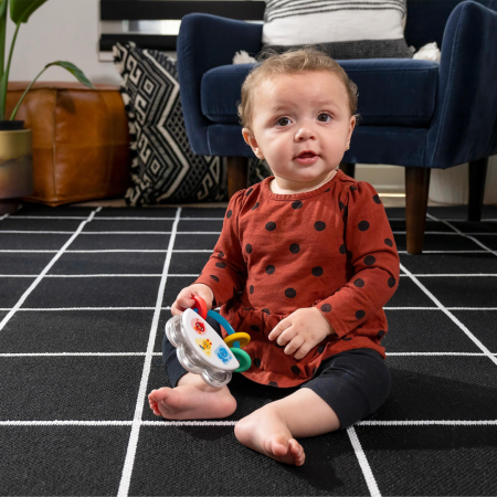 Baby Einstein - Jucarie muzicala si zornaitoare "Tiny Tambourine" [5]