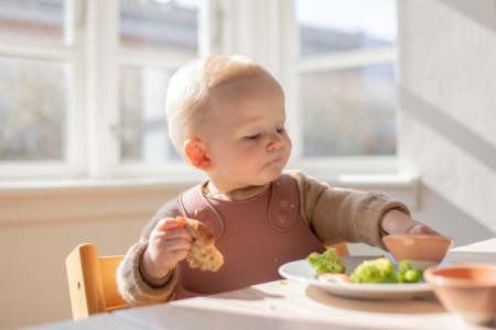 BIBS - Bavetica pentru diversificare si hranire, Earth [3]