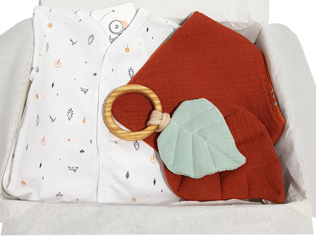 Cadouri Botez Vouchere - Cadou bebelus baiat - Frunza caramizie