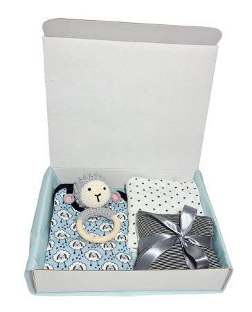 Cadou bebelus baiat - Oita gri/body bleu [1]