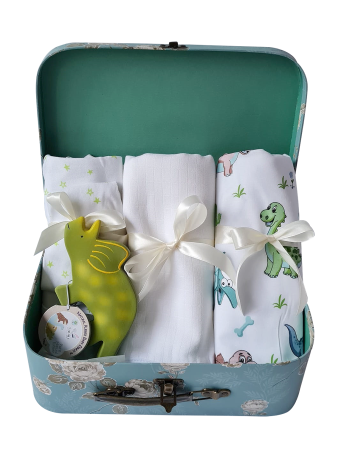 Cadouri Botez Vouchere - Cadou bebelus - Dinozaur