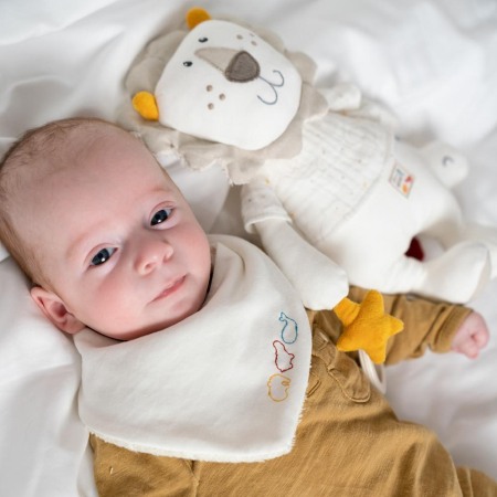 Centru de activitati - Leu NATUR [2]